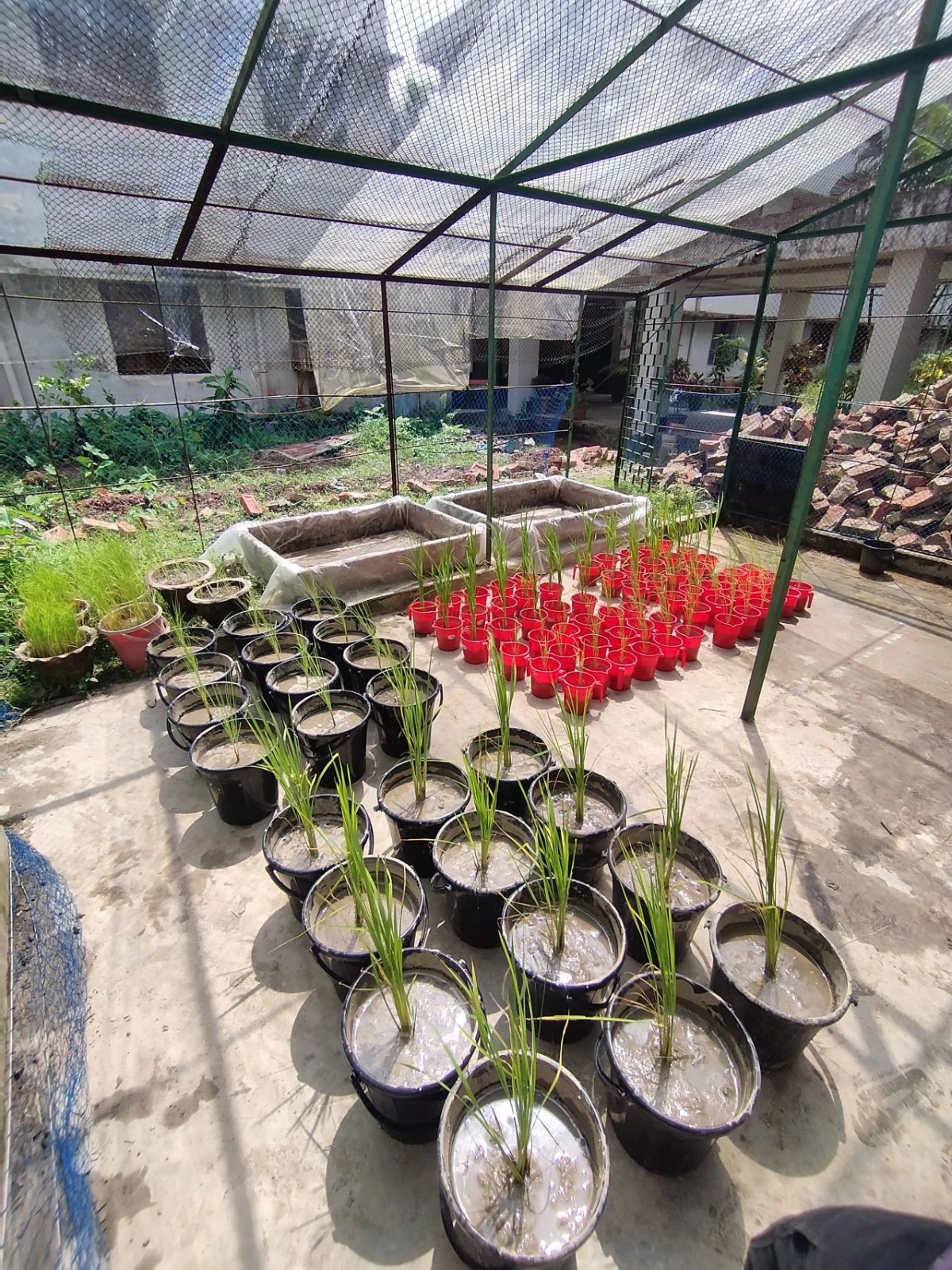 Greenhouse · Experiment setup