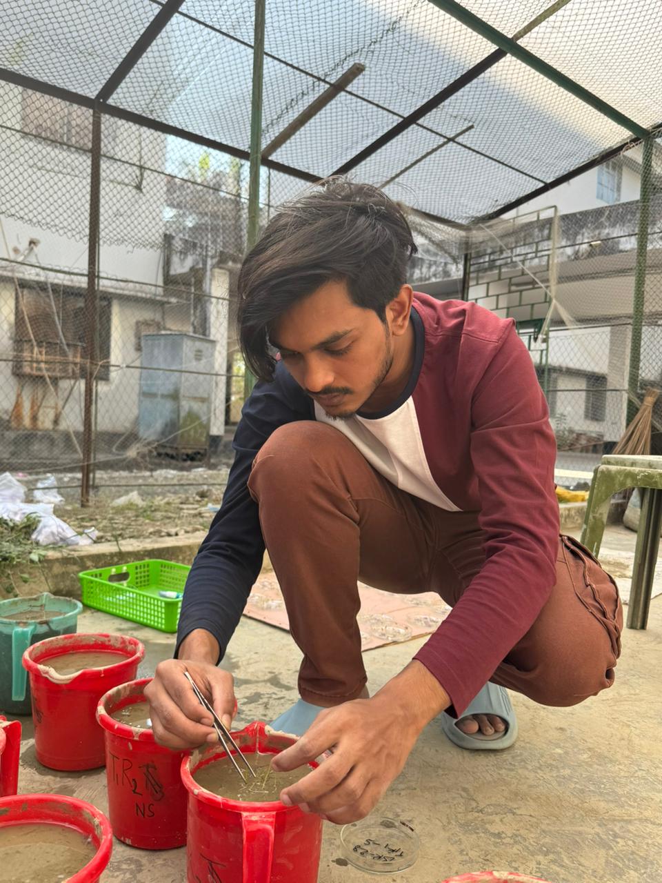 Pot experiment sampling
